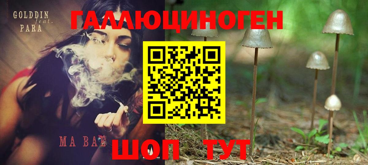 Томск  Галлюциногенные грибы ЛСД  Псилоцибиновые грибы Cubensis  Вход с VPN 